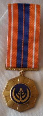 NO 1822 - PRO PATRIA FULL SIZE MEDAL FIXED SUSPENDER - NUMBERED 137674