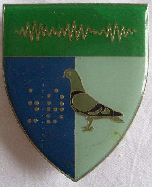 (3382) 2 SIGN. REGT. SILVER TYPE SHOULDER FLASH - ORIGINAL - 3 PINS.