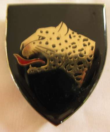 NO. 3251)  THABAZIMBI COMMANDO SHOULDER FLASH.  ORIGINAL 3 PINS.