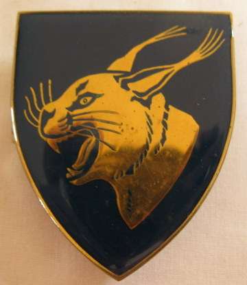 NO. 3249)  NORTHAM COMMANDO SHOULDER FLASH.  ORIGINAL 3 PINS.