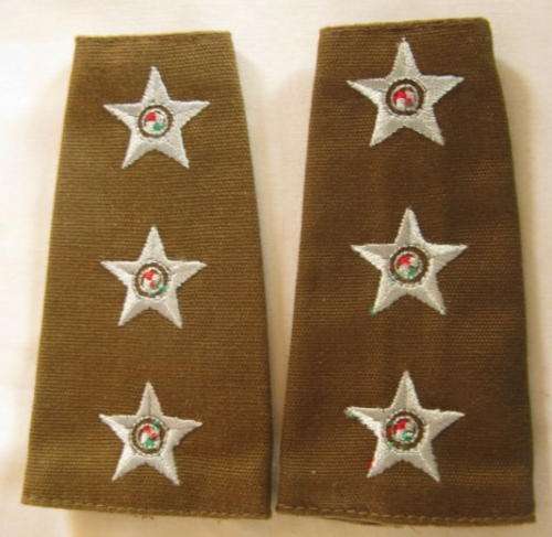 NO. 4380)  SADF - RANK INSIGNIA FOR CAPTAIN - EMBROIDERED FIELD DRESS WORN 1996 - 2002.