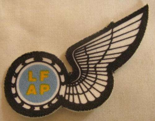 NO. 4546)  SAAF - SCREENPRINT AIR PHOTOGRAPHER WING WORN ON FLIGHT SUIT.  1988-1990'S.