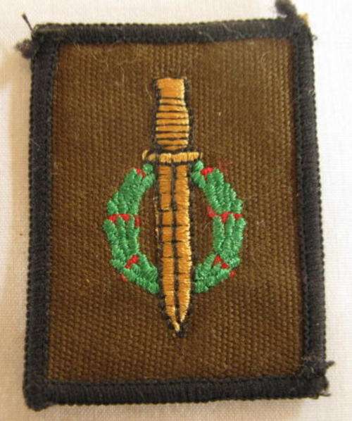 NO. 5137)  SPECIAL FORCES OPERATOR BADGE PROPOSED 1995 NEVER ADOPTED.  ORIGINAL ITEM.