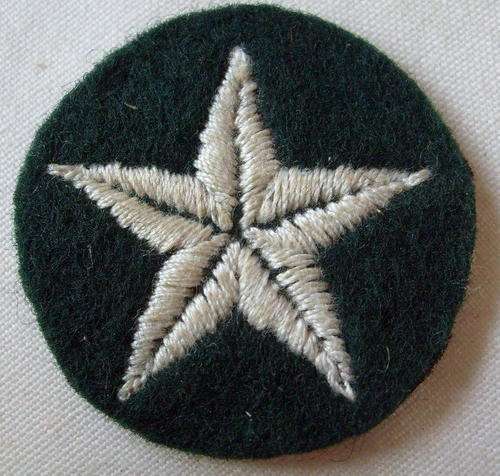 NO. 5532)  RHODESIAN - PROFICIENCY CLOTH BADGE DRIVER - DRESS GREEN.