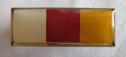 BERET COLOUR BAR FOR SA ARMY WOMANS COLLEGE - 2 PINS.