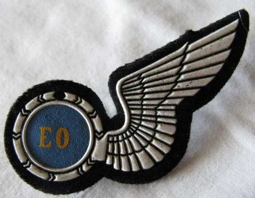 SAAF ELECTRONIC WARFARE TUPPER HALFWING 1988 - 1990'S - 2 PINS