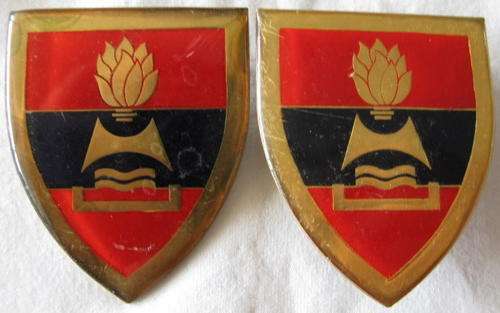 2 FIELD ENGINEER REGT. FLASH PAIR - ONE PIN MISSING
