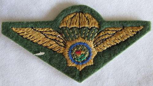 PARA - SA POLICE TASK FORCE PARA WING FIELD DRESS - EMBROIDERED ON GREEN FELT.
