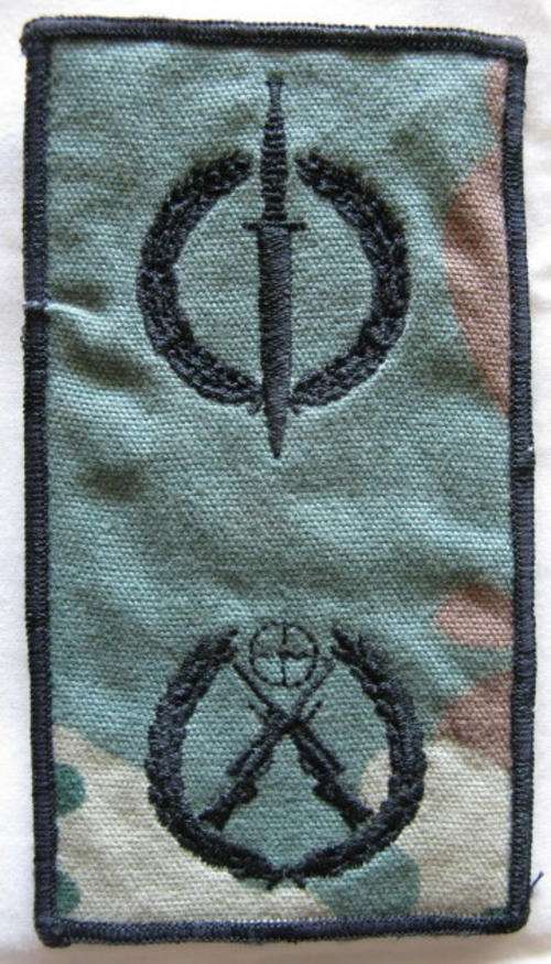 RECCE - FAKE SPECIAL FORCES COMBINED OPERATOR & SNIPER QUALIFICATION BADGE.
