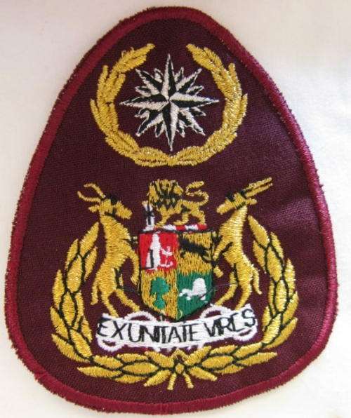 RECCE - FAKE VERSION OF SPECIAL FORCES SERGEANT MAJOR INSIGNIA