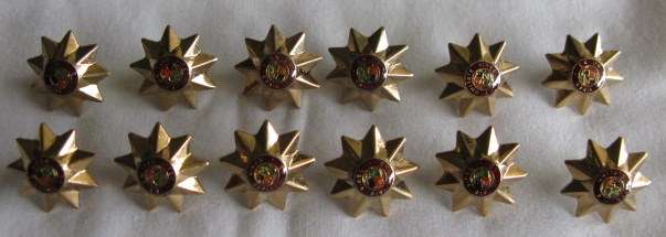 SADF 9 POINT RANK STAR WORN 1996-2002.  ALL WITH SCREW LUGS.  12 IN TOTAL.