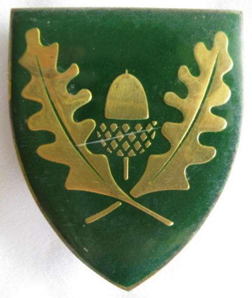 FLASH - REGIMENT UNIVERSITY STELLENBOSCH - 3 PINS