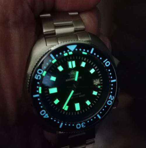 King Turtle Kaptain Willard 1970 Steeldive No Logo