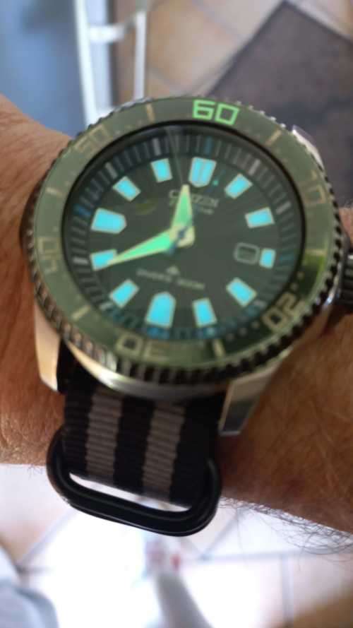 Citizen Ecodrive Promater Great Value