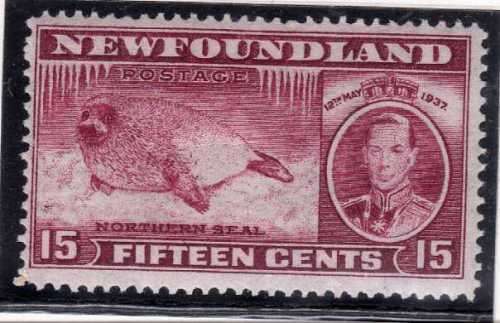NEWFOUNDLAND 1937 CORONATION 15c MM(*). SG 263. CAT 20 POUNDS.