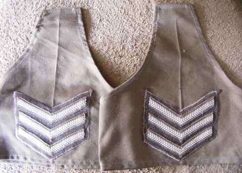 Nutria Sgt Ranks on Sleeve