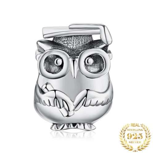 S295 Wise Owl Graduation Charm fits Pandora Snake Chain Bracelet