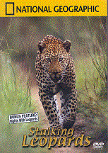 Stalking Leopards DVD by National Geographic