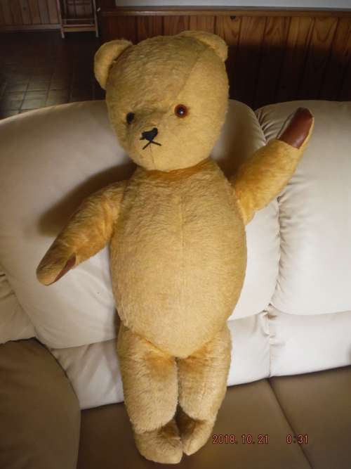 Large Vintage Teddy Bear. 75 cm. +/- 50 years