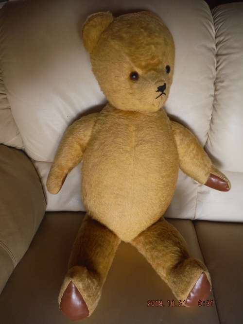 Large Vintage Teddy Bear. 75 cm. +/- 50 years