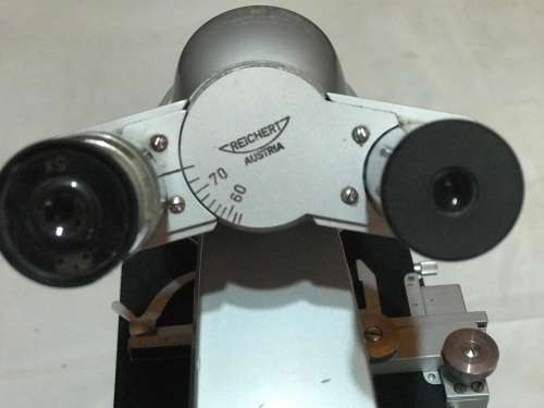 Reichert Austria Microscope. Not Tested