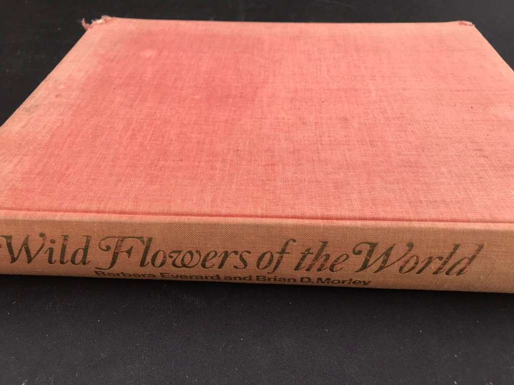 WILD FLOWERS OF THE WORLD,