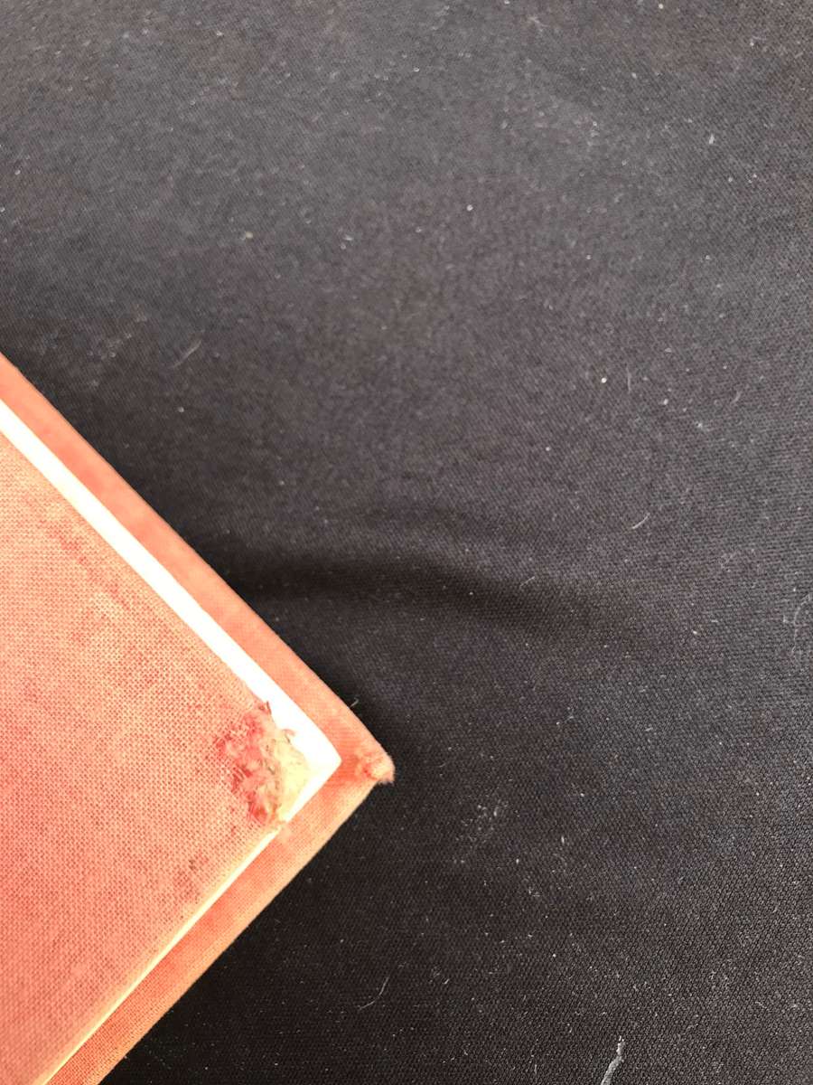 WILD FLOWERS OF THE WORLD,