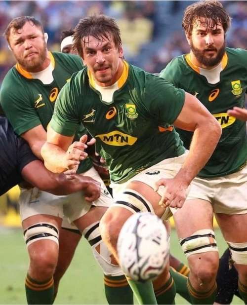 SPRINGBOK RUGBY PLAYER ISSUE JERSEY ** LARGE **  NEW