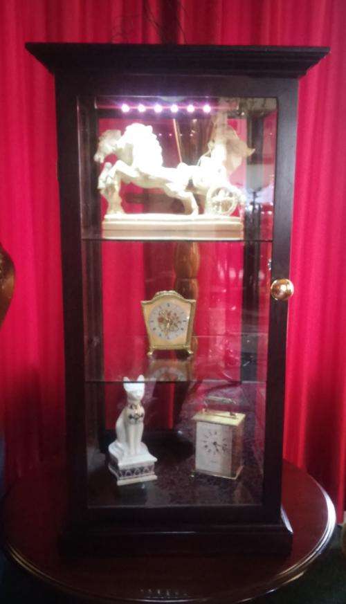 STUNNING CUSTOM DESIGN DISPLAY CABINET WITH LIGHT (B)