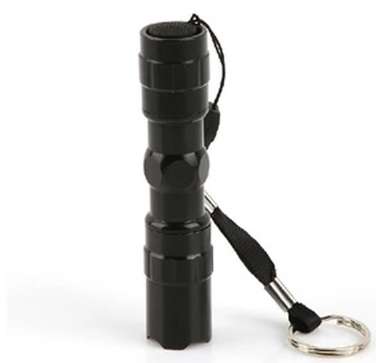 Small Size LED Torch FlashLight W/ Keyring Strap