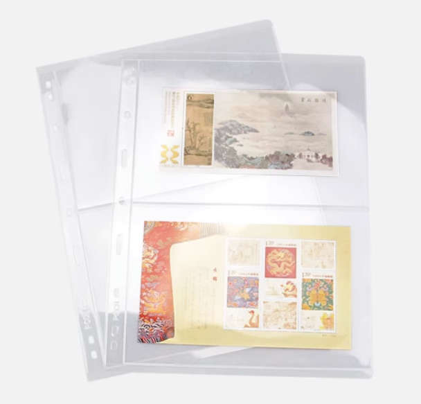 10 x Stamp Banknote Sleeve Coins Notes Accessories A4 Clear 2 Pocket Album Binder Page