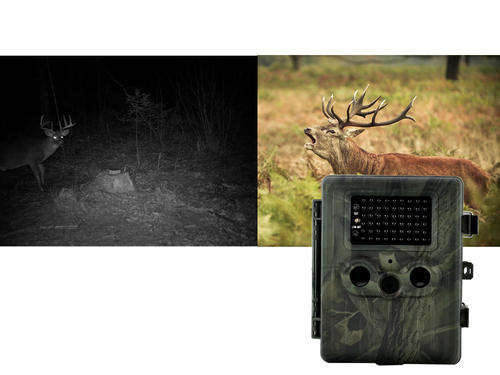 Game Camera "Trailview" - 720p HD, PIR Motion Detection, Powerful Night Vision, GPRS/GSM, 2.5 Inch S
