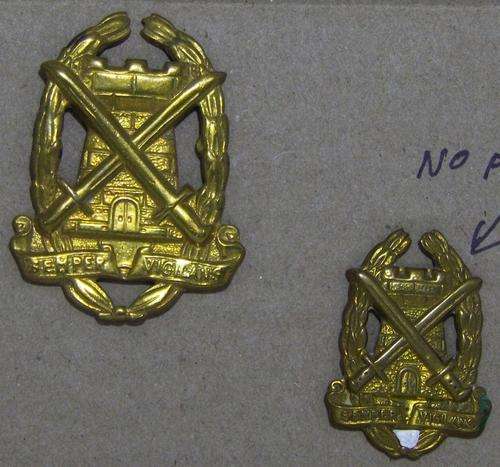 SA Special Services Corps Collar and Cap badges