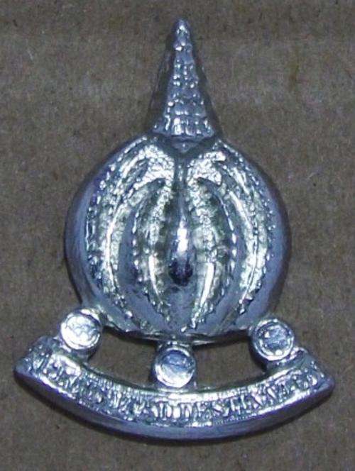 SA Financial Services Corps Collar Badge