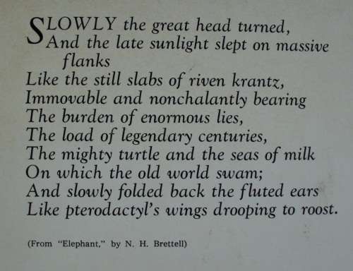 Book "Beneath a Rhodesia Sky"