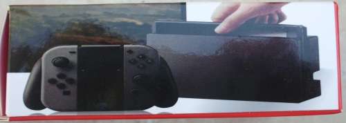 Nintendo Switch Charger/Power Supply Type C