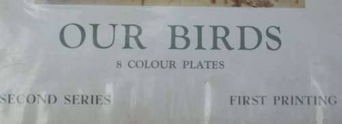Print Set - Our Birds - 8 colour plates - 1960 - 2nd Series