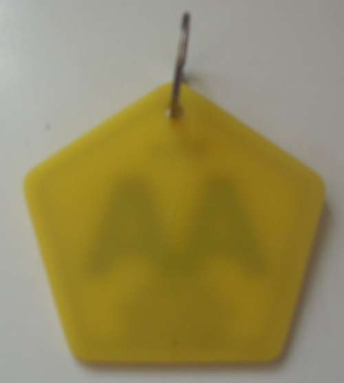 AA Keyring - Sign/Badge