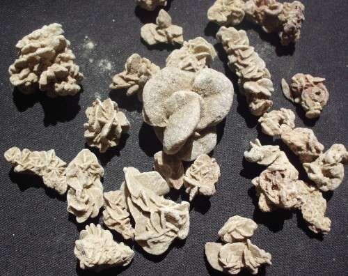 Desert Roses x 26 - Selenite - Small/Med - C