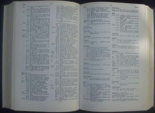 Bible - Die Bybel - Afrikaanse Konkordansie - C.F.Mijnhardt - 1978