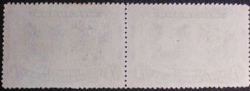 Stamp Rhodesia double head horizontal pair 1910 overstamped rare.