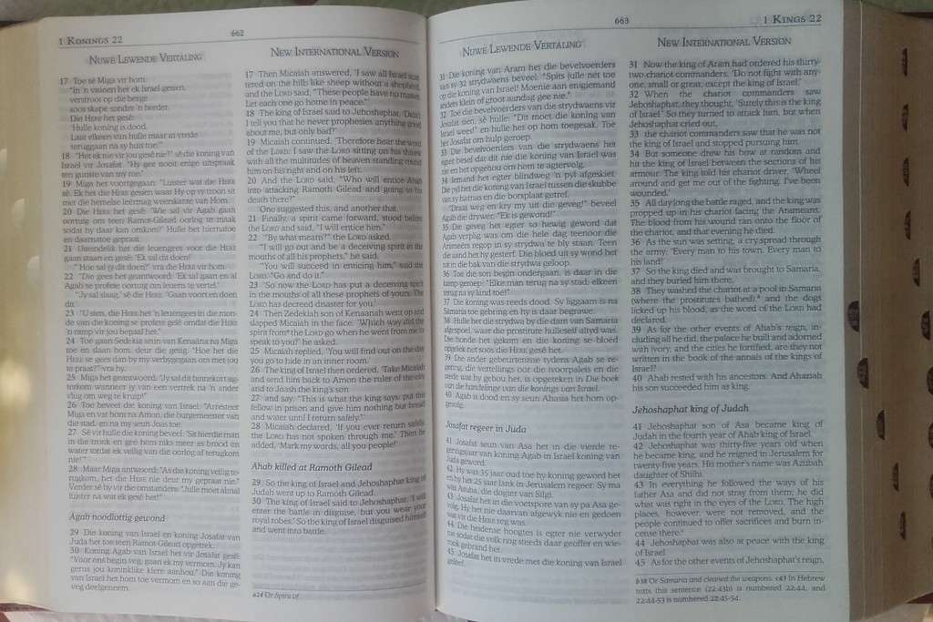 Bible - The Parralel Bible/Die Parralel Bybel - NIV - 2013 - Exceptional!