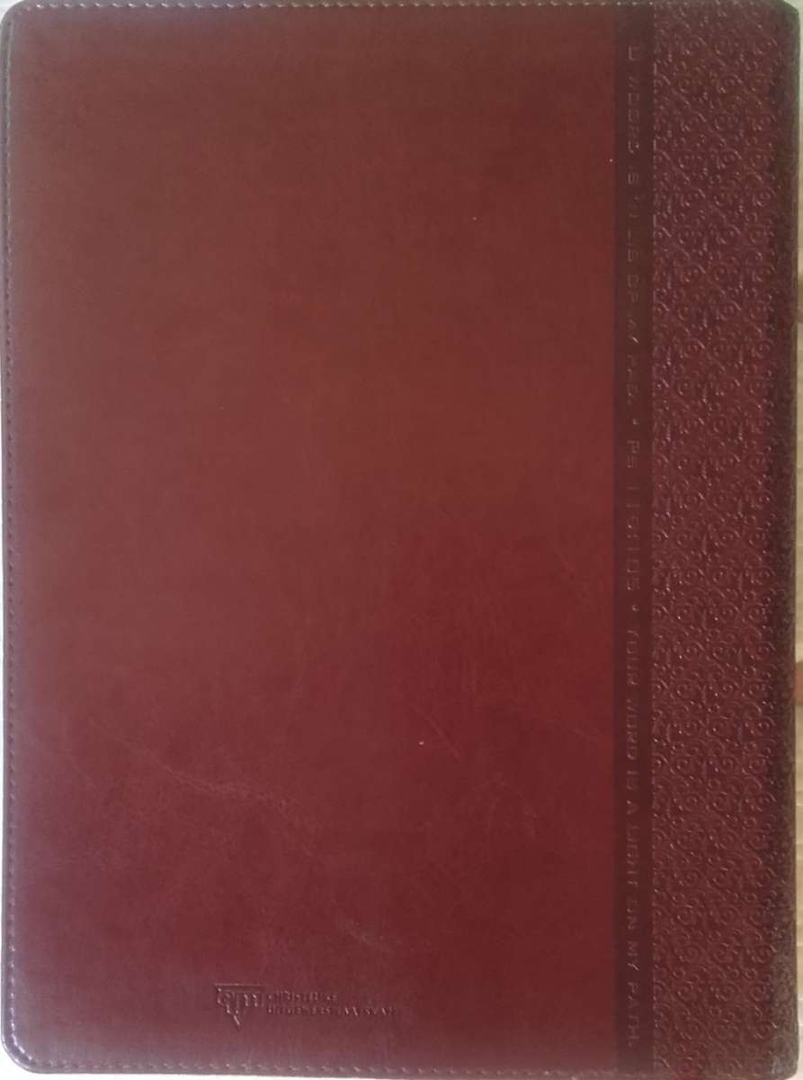 Bible - The Parralel Bible/Die Parralel Bybel - NIV - 2013 - Exceptional!