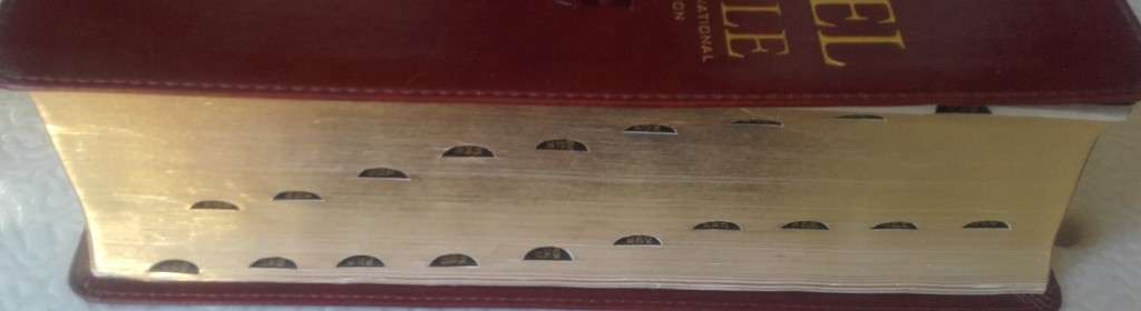 Bible - The Parralel Bible/Die Parralel Bybel - NIV - 2013 - Exceptional!