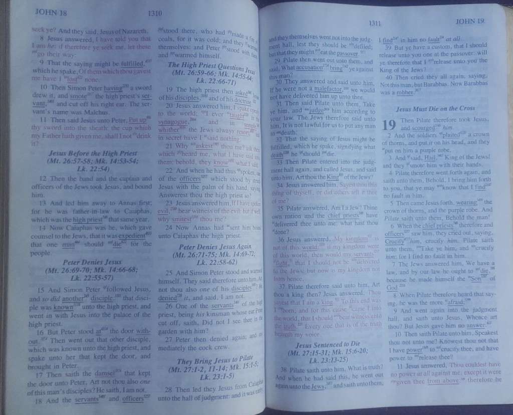 Bible - The Hebrew Greek Study Bible - KJV - 1988