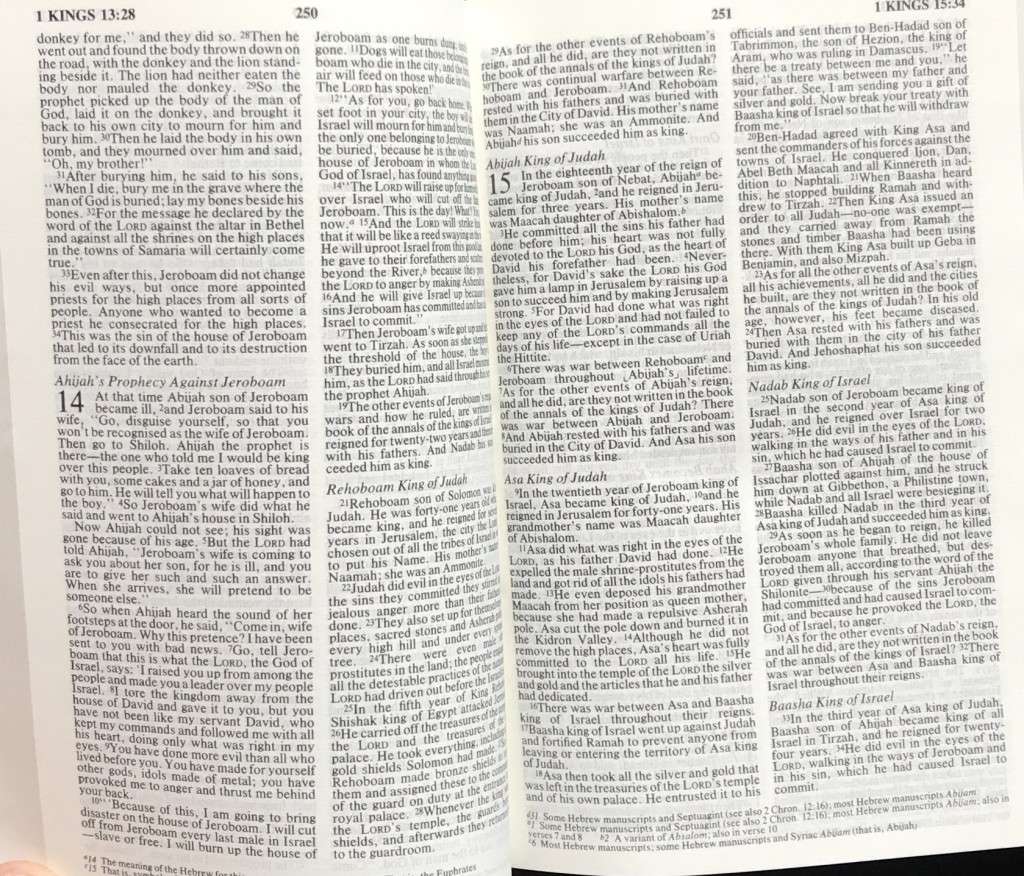 Bible - The Holy Bible - NIV - 1984 - Pocket - Perfect