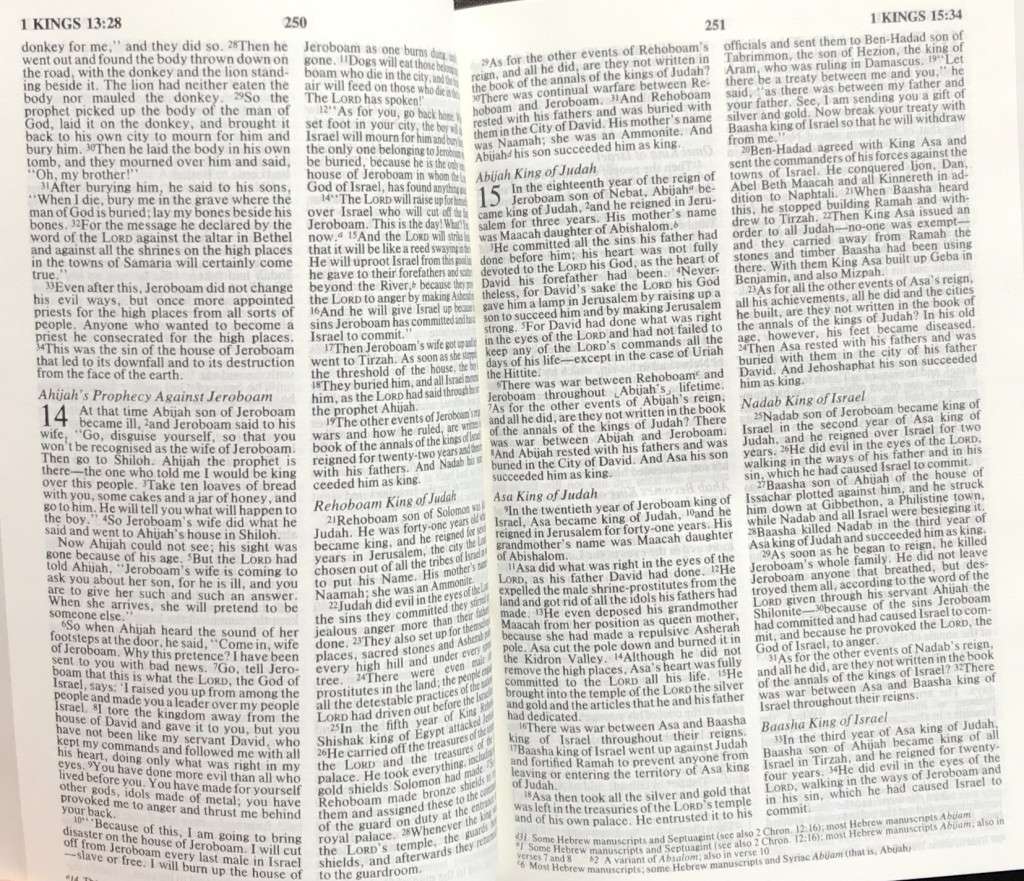 Bible - The Holy Bible - NIV - 1984 - Pocket - Perfect
