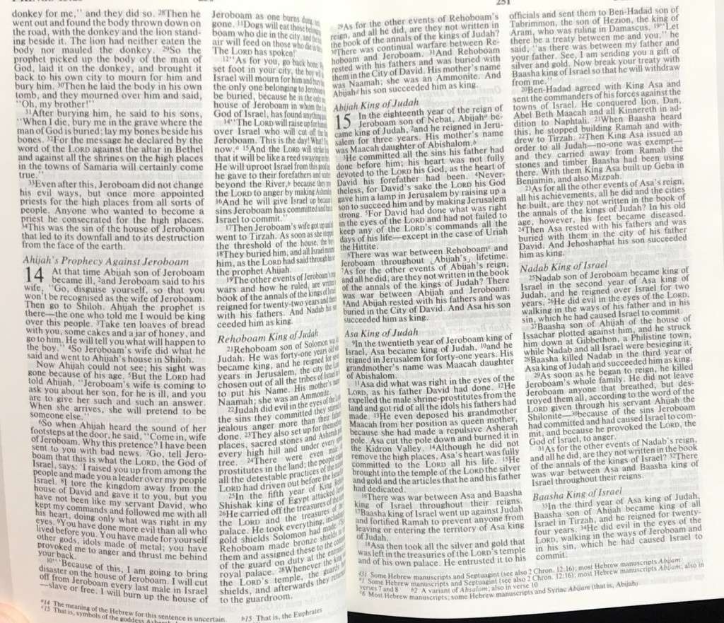 Bible - The Holy Bible - NIV - 1984 - Pocket - Perfect