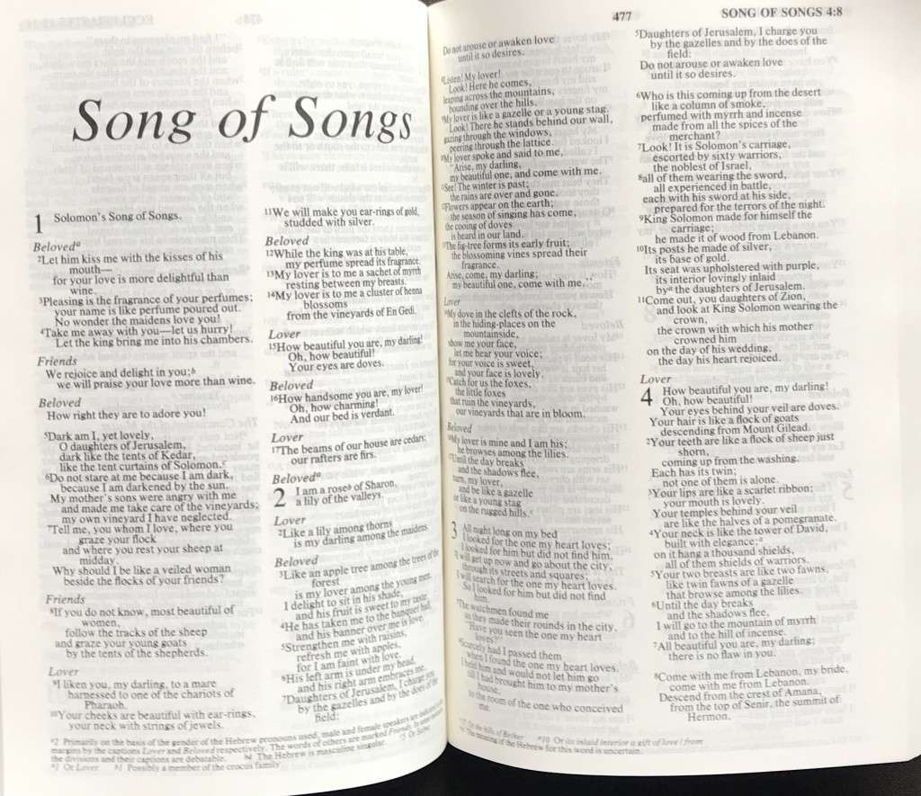 Bible - The Holy Bible - NIV - 1984 - Pocket - Perfect