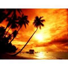 ACI MEMBERSHIP - LEVIES PAID TILL END OF 2012